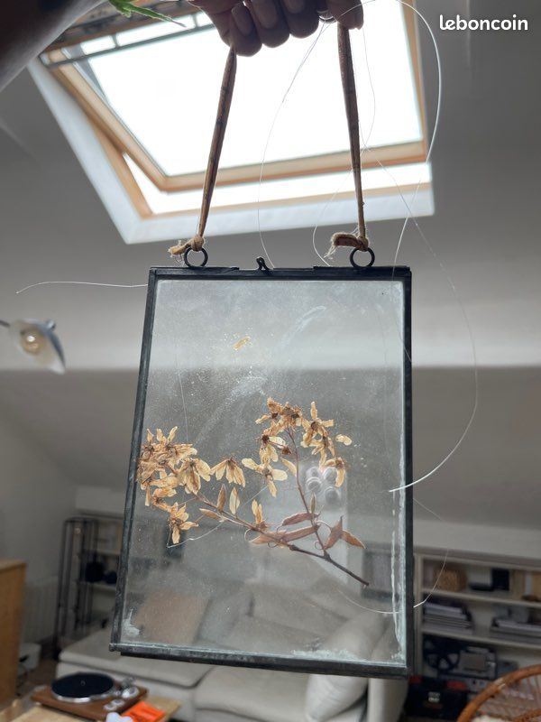 Cadre photo transparent (image 2)