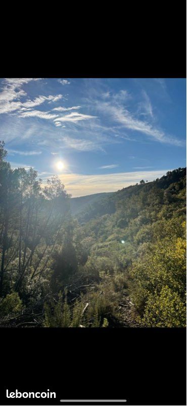 Terrain de chasse ou loisir · à Saint-Zacharie · 160 000 €