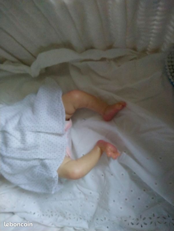 Bébé Reborn (image 4)