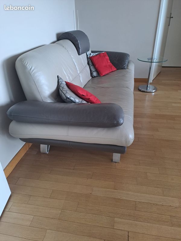 Canapé Roche Bobois (image 2)