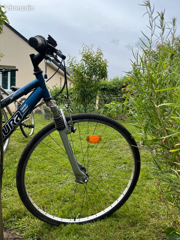 Vélo VTC Nakamura bleu adulte (image 3)