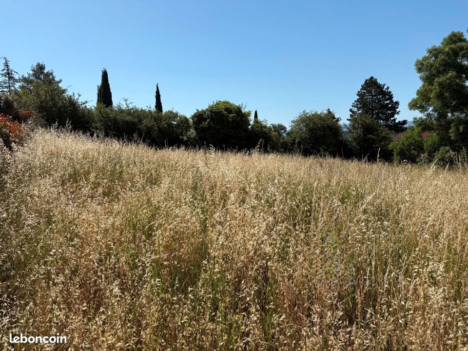 Terrain 1 000 m² Castres · 79 000 €