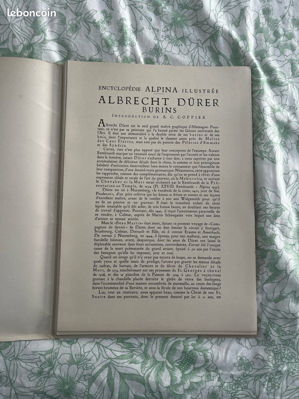 Lot livres ancien art - peinture (image 7)