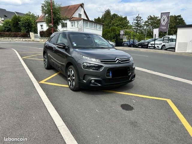 Citroen C4 CACTUS PURETECH 110CH S&S SHINE BUSINESS E6.D (image 1)