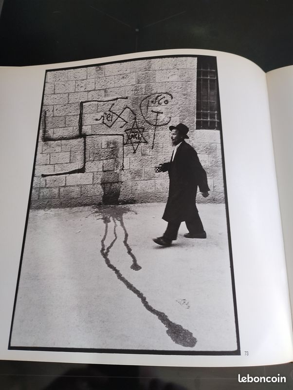 Livre Photos " la dance des fidèles" Léonard FREED (image 11)