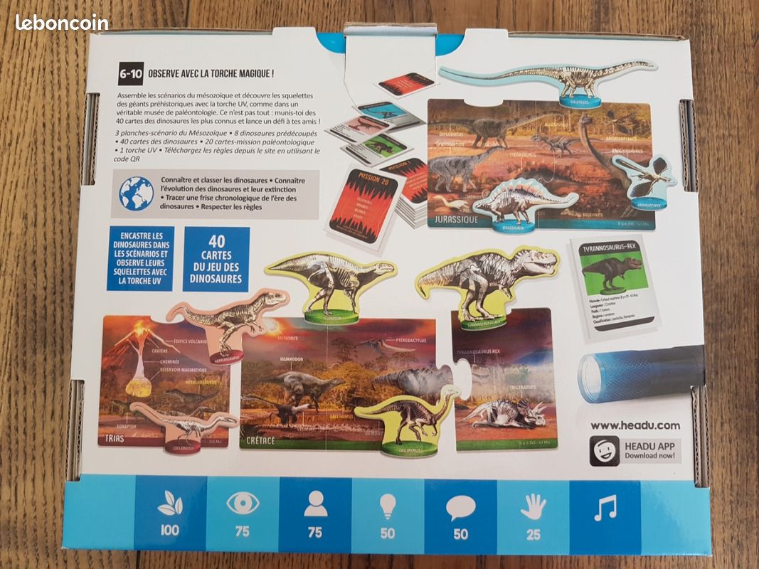 Jeu Dinosaures aux rayons X (image 2)