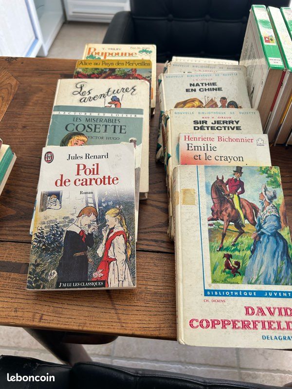 Livres de jeunesse (image 2)
