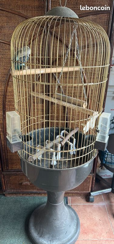 Cage à oiseaux (image 1)