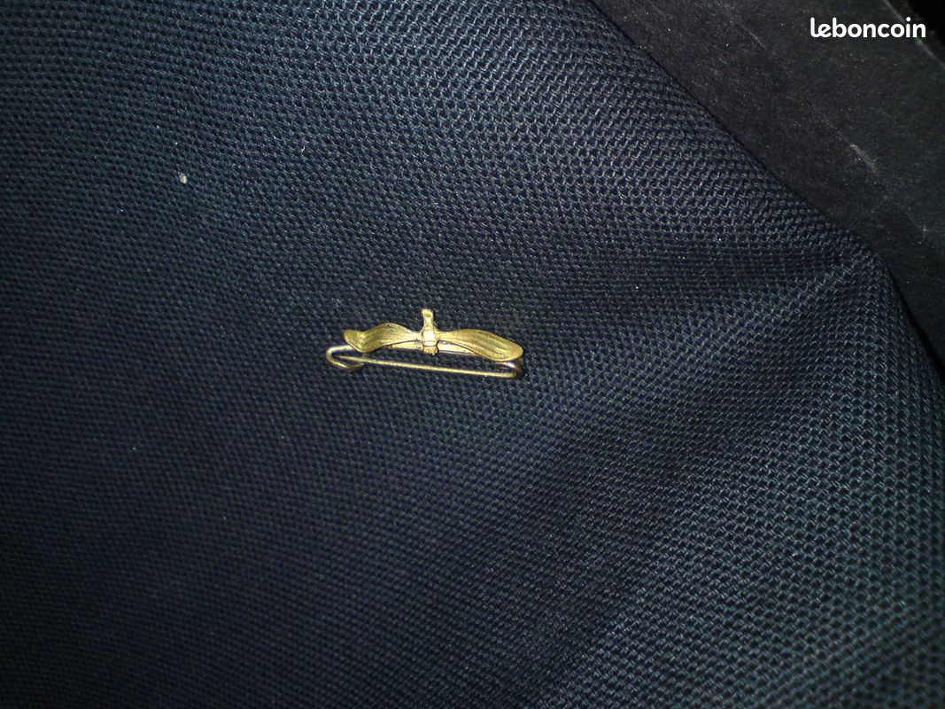 Broche ancienne 2 petites feuilles allongées: peut servir d'attache pour un col jabot (image 2)
