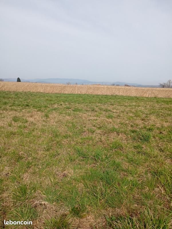 Terrain 884 m² Annonay · 60 000 €