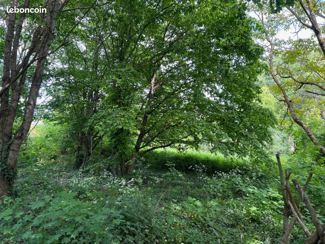 Terrain 720 m² Saumur · 52 300 €