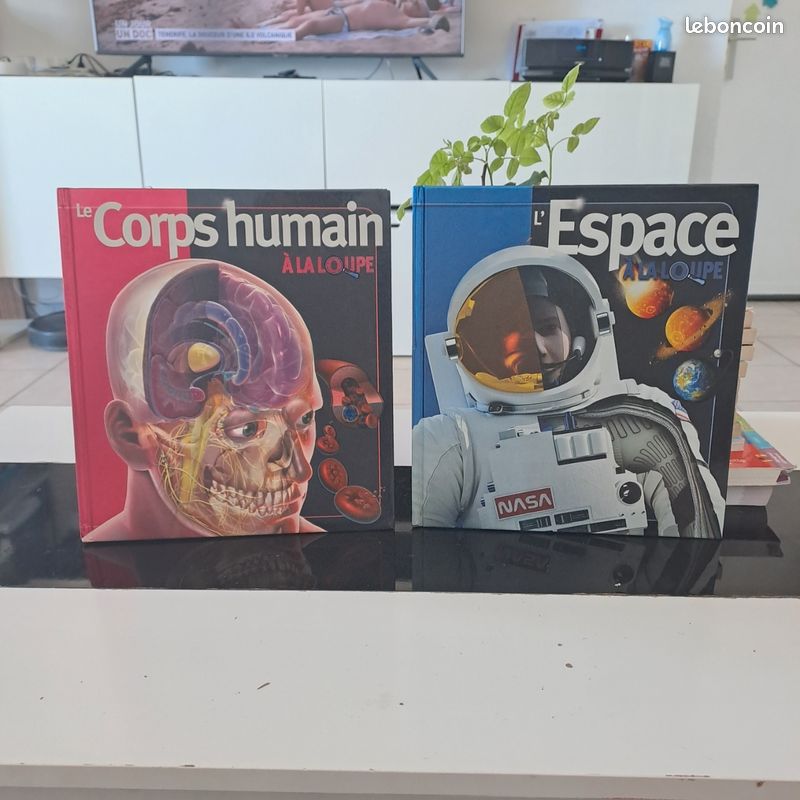 Lot de 2 livres jeunesse (image 2)