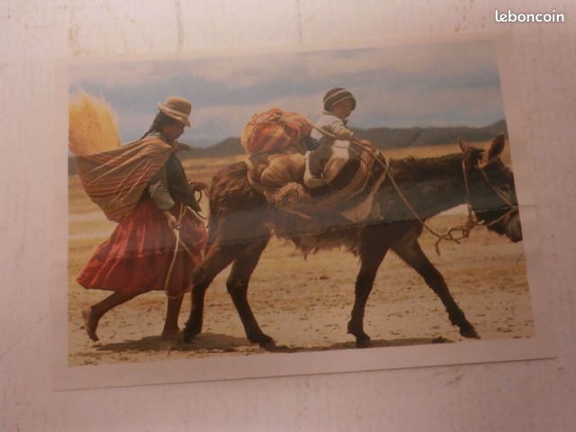 Ancienne image N°34 des collection scolaire Les Mini-Reporters - Album d'images Le Poulain de 1993, (image 1)
