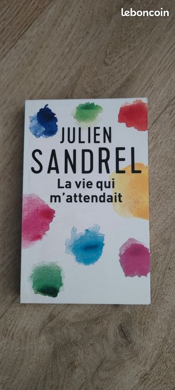 Julien sandrel " la vie qui m'attendait " (image 1)