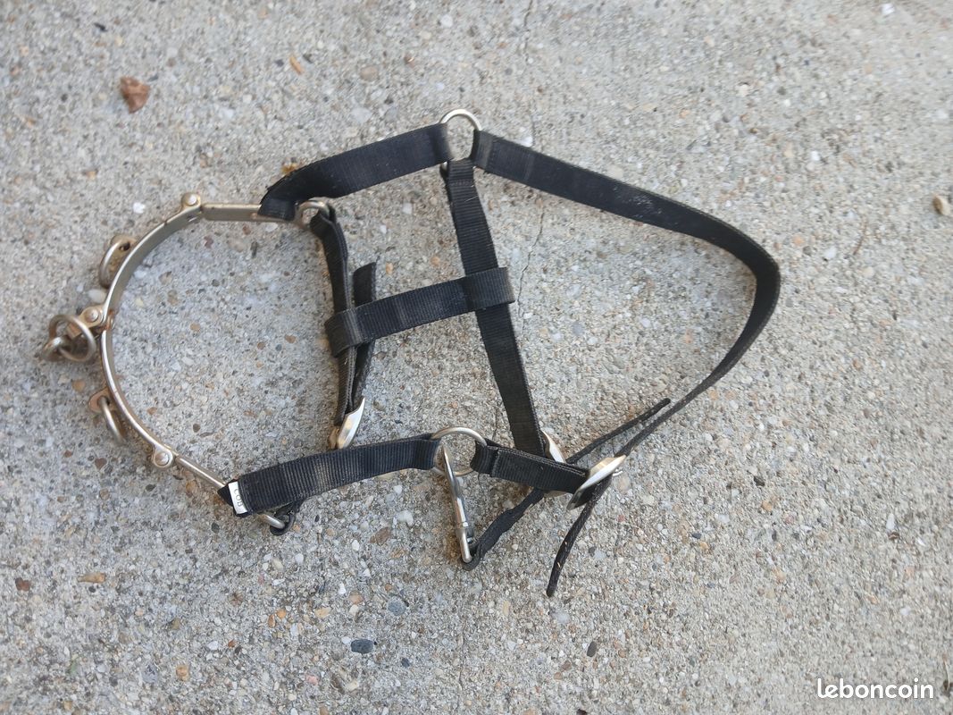 Caveçon pour longer,travail du cheval NYLON noir taille COB avec bouclerie chromé (image 4)