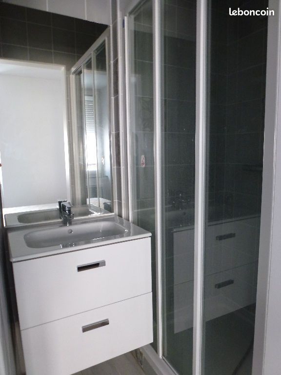 Appartement 1 pièce 23 m² - Limoges 87100 (image principale 4)