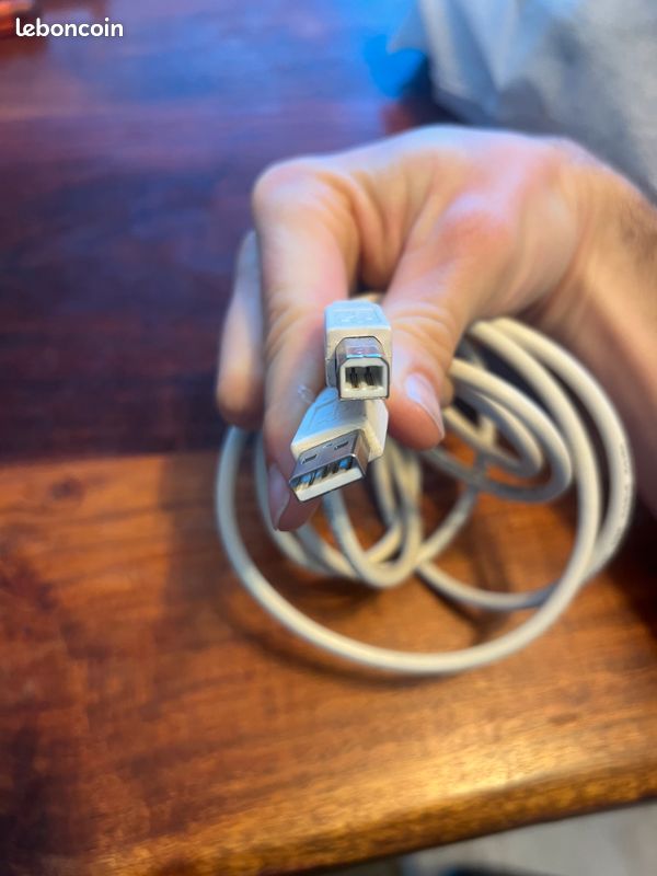 Câble USB A vers USB B (blanc) 1.5m (image 2)
