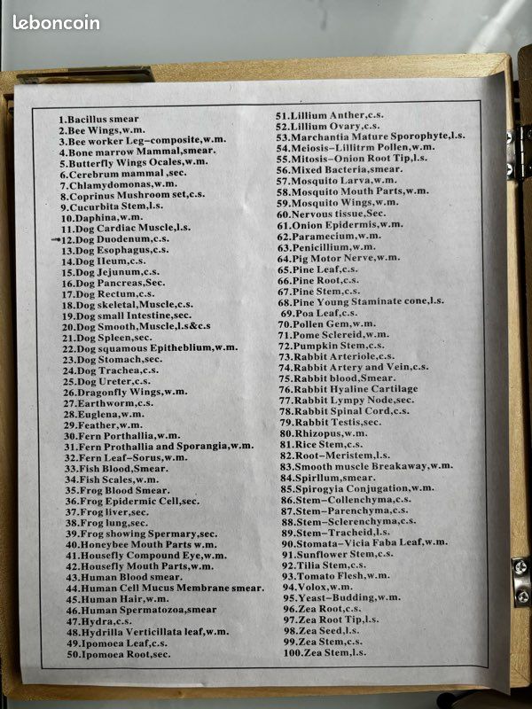 Lot de 100 lames préparées Amscope (image 3)