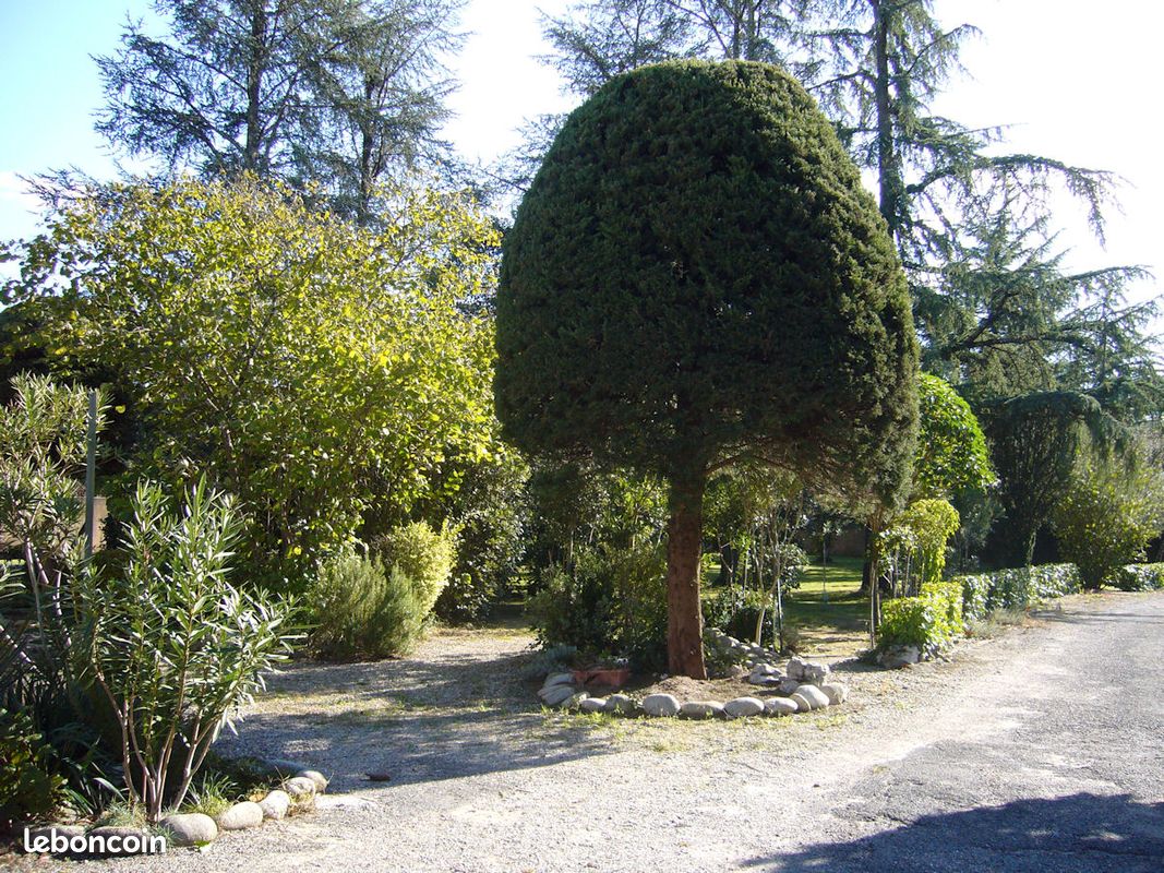 Vallon pont d'arc coquelicot (image 9)