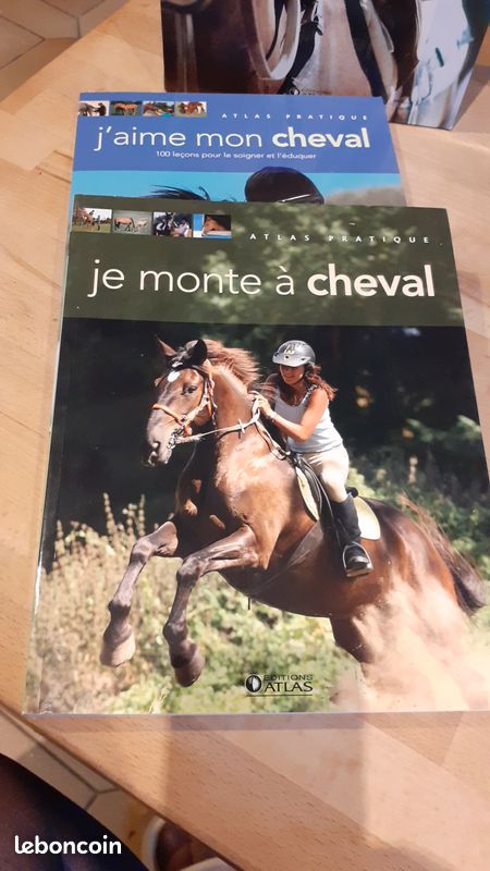 Coffret 2 livres Mon cheval (image 3)