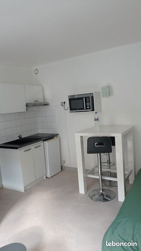 Appartement meublé pont neuf - Poitiers 86000 (image principale 0)