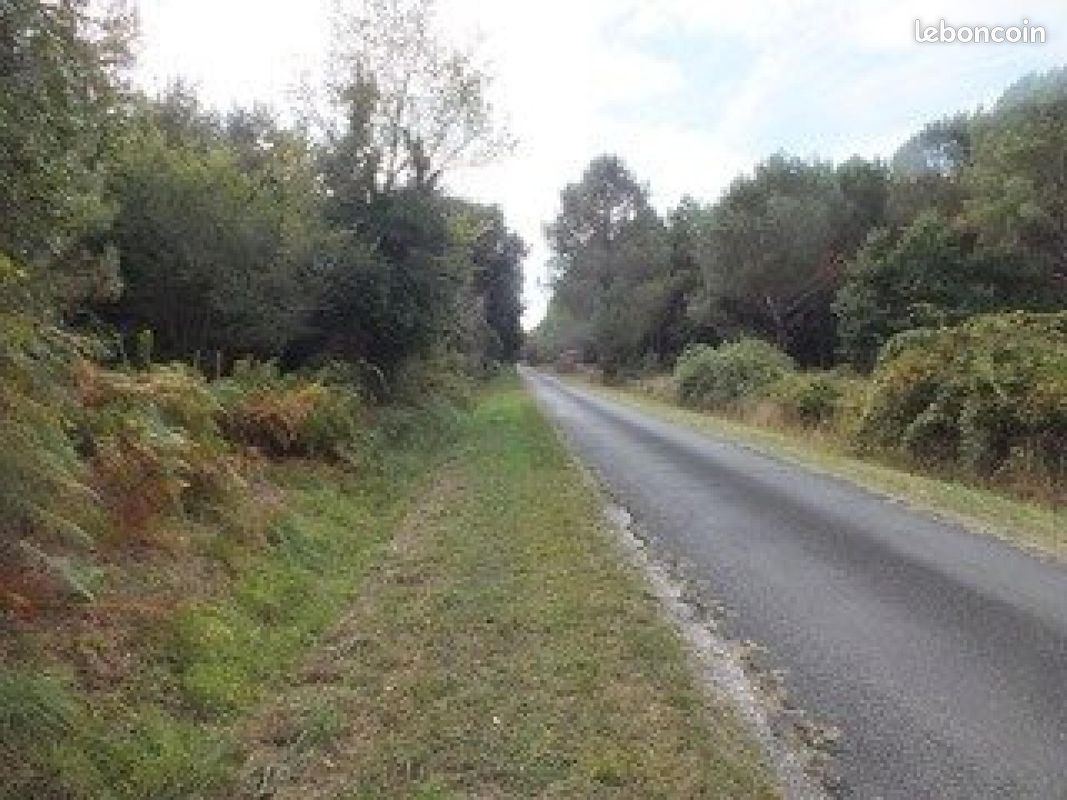 Terrain 800 m² VENDAYS-MONTALIVET (image 3)