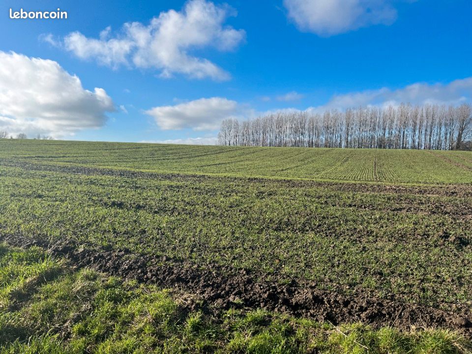 Terrain 1 300 m² Divion · 39 000 €