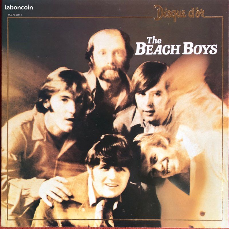 The Beach Boys vinyle best of (image 1)