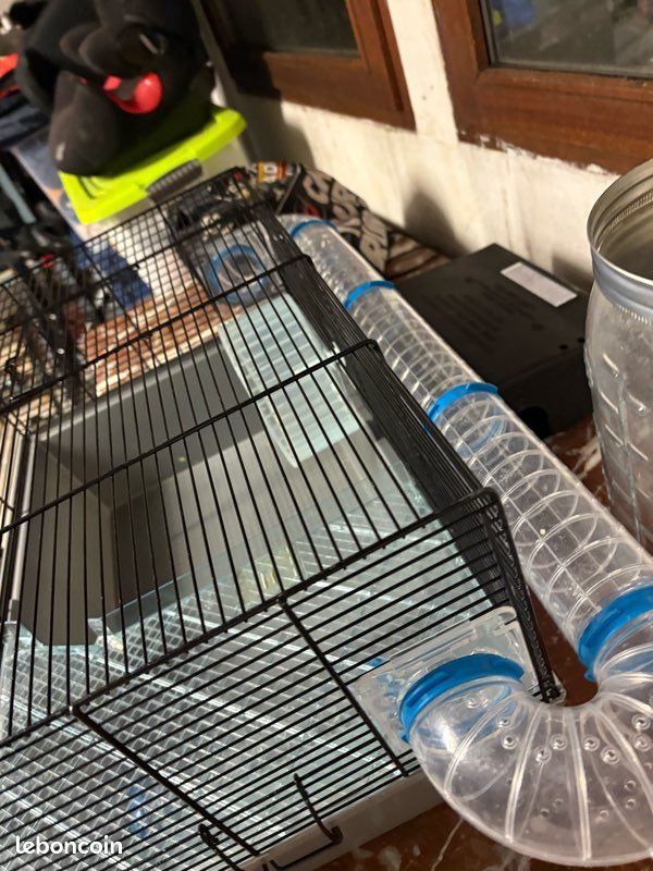 Cage hamster + équipements (image 2)