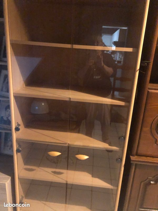 Vitrine à vendre 50 (image 1)