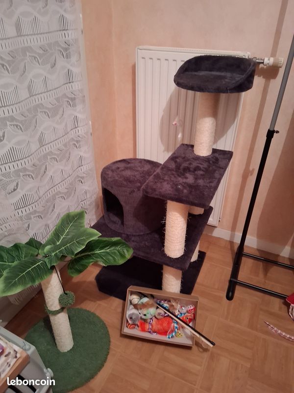 Vends matériels pour chats (image 1)