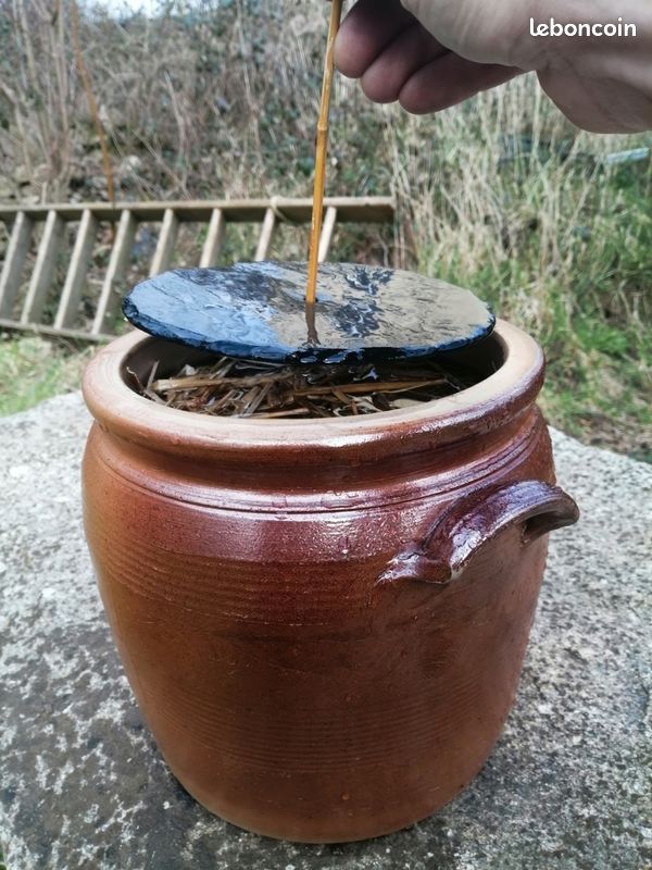 Poids pour lactofermentation en bocaux (Miso, Kimchi, cornichons, ..., le parfait) et tire-poids/légumes (image 17)