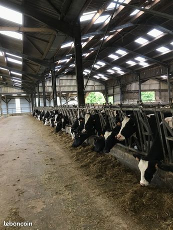 Salarie permanent suivi des animaux (H/F)