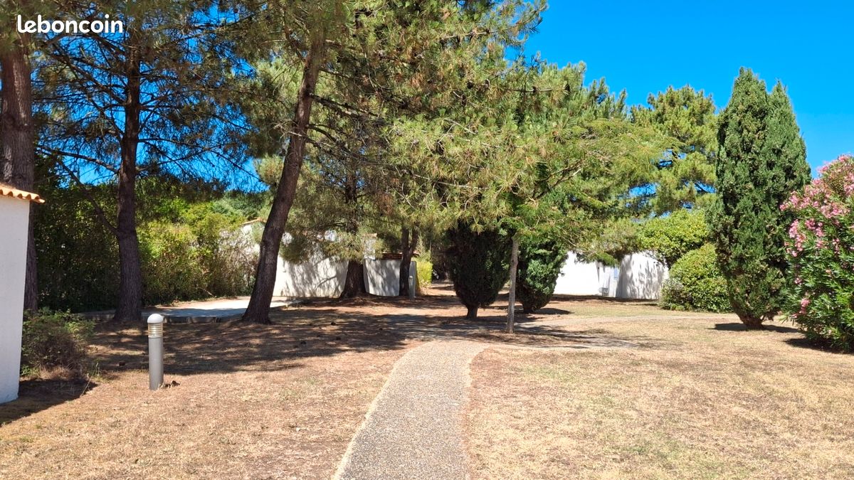 Oléron couleur nature (image 15)