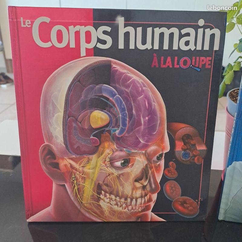 Lot de 2 livres jeunesse (image 3)