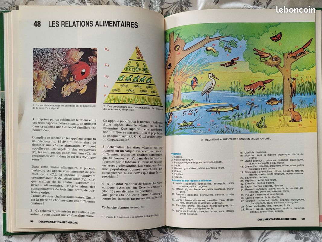 Sciences expérimentales Cycle moyen de 1981 - Livres