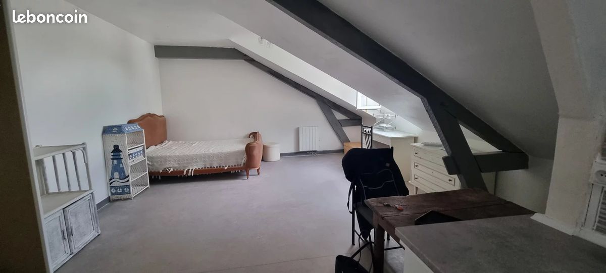 Appartement 1 pièce 26 m² - Limoges 87000 (image principale 0)