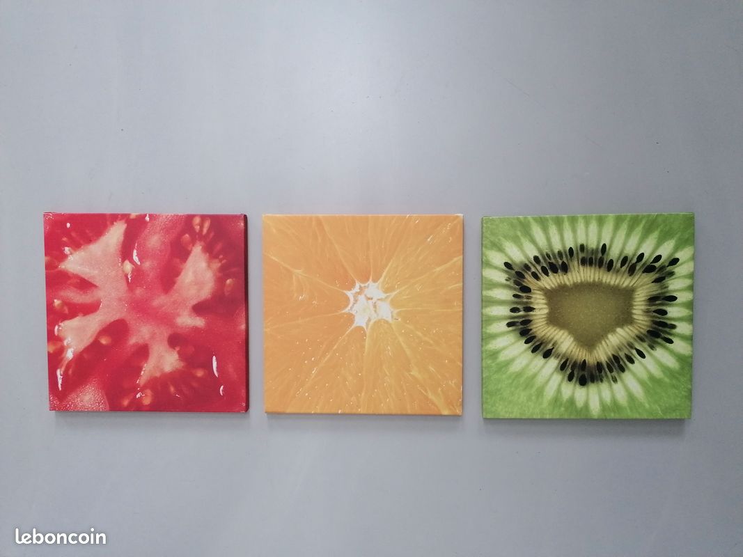 Triptyque tableaux fruits décoration cuisine – EXCELLENT ETAT (image 1)