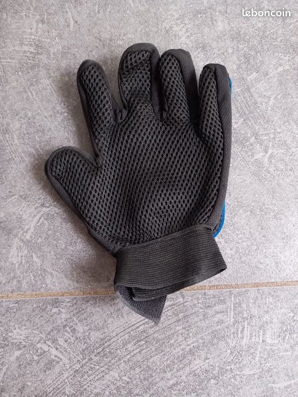 Gant brossage chien (image 2)