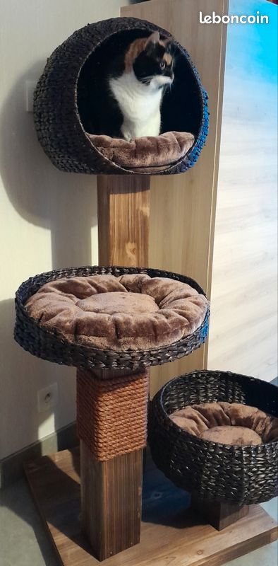 Arbre à chat (image 2)