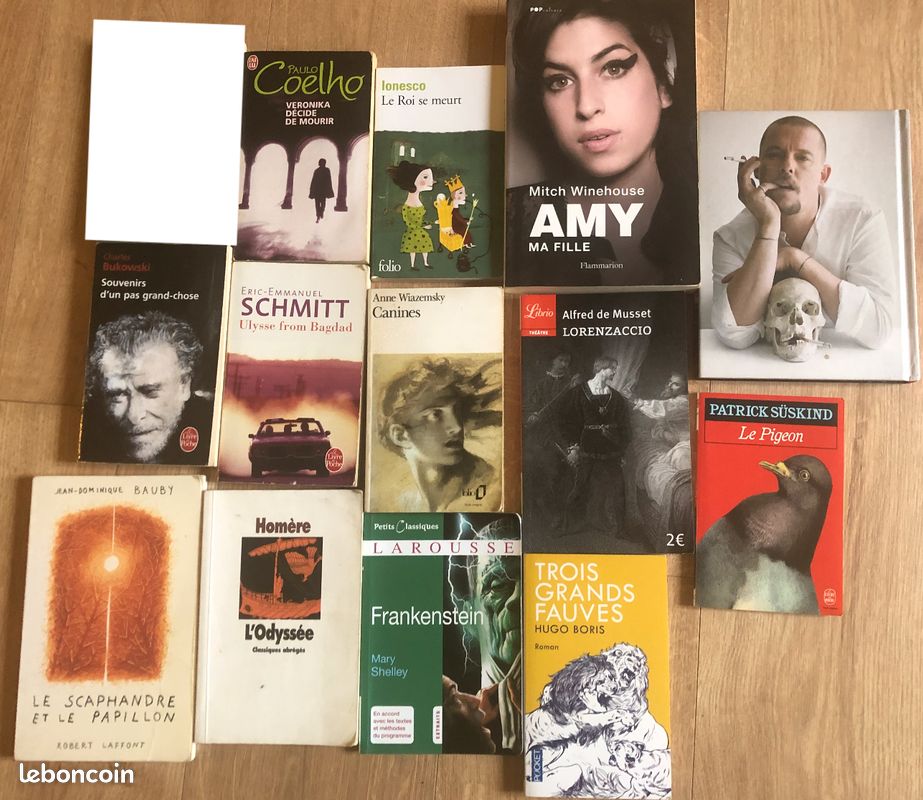 Divers livres, romans (image 1)