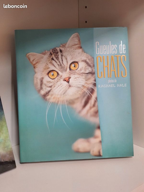 Beau livre Chats (image 1)