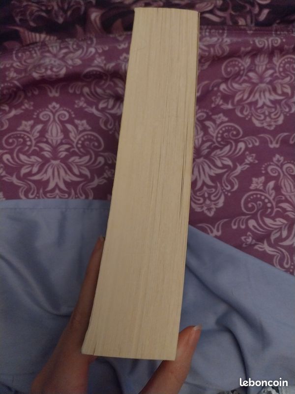 Roman Let the Sky Fall tome 1 Shannon Messenger Lumen (image 2)
