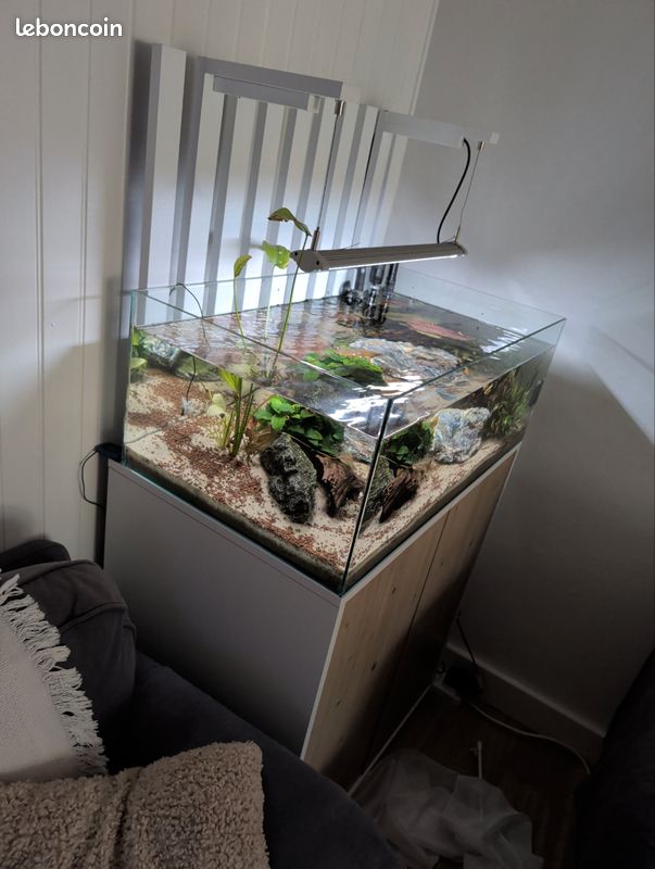 Aquarium Shallow 80 (image 3)