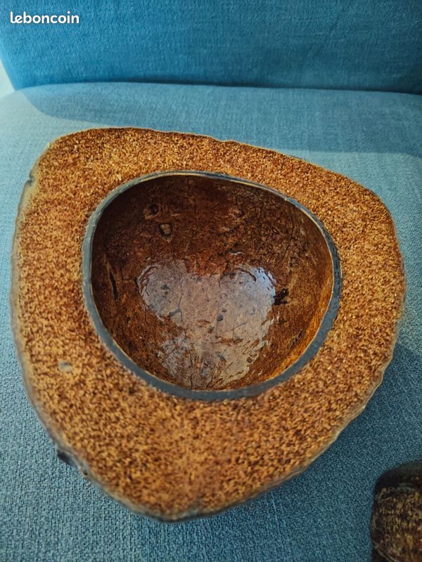 Noix de coco seau à glaçons (image 3)