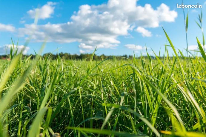 Terrain 530 m² Lanrelas