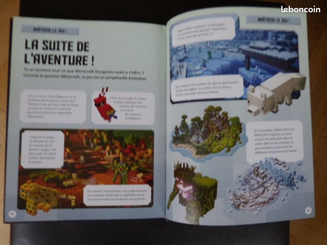 Minecraft dungeons le livre essentiel et divers (image 4)