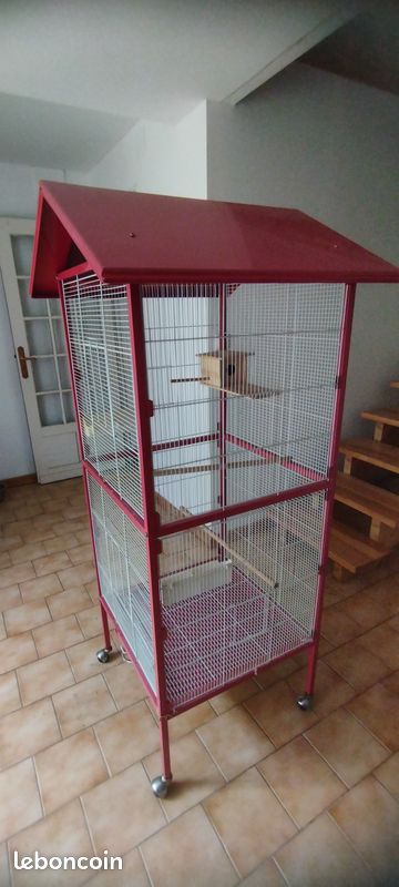 Cage oiseaux (image 2)