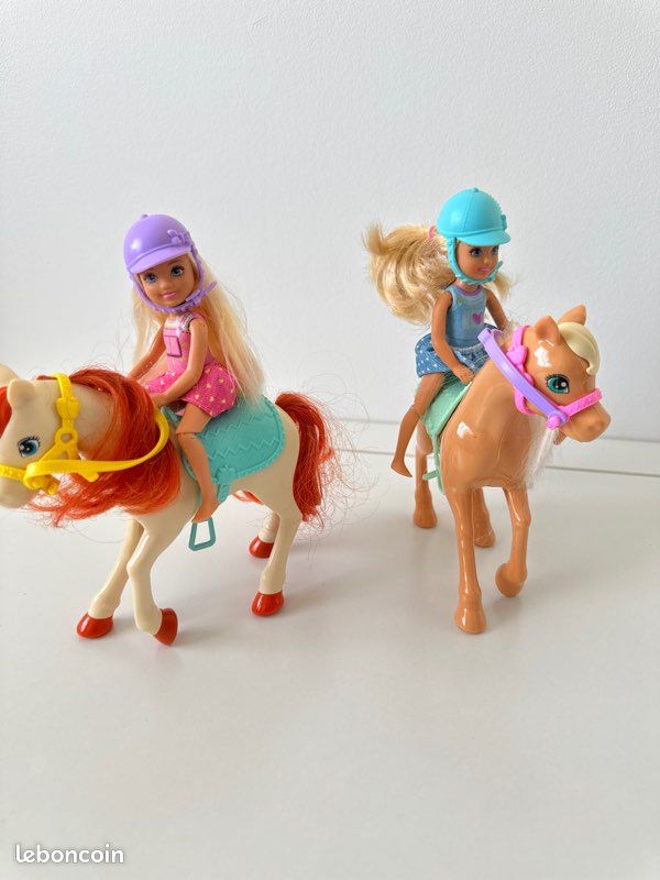 Cheval et cavalière (image 2)
