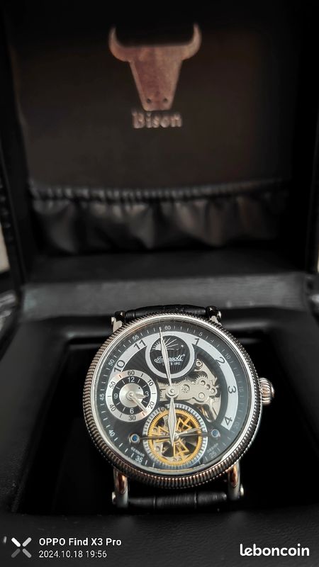 Montre ingersoll limite édition (image 1)